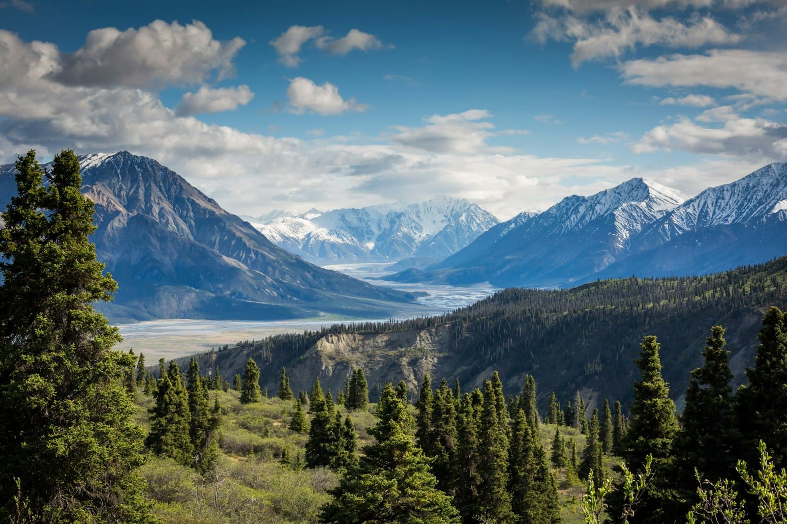 Sunlit mountain peaks above alpine forest